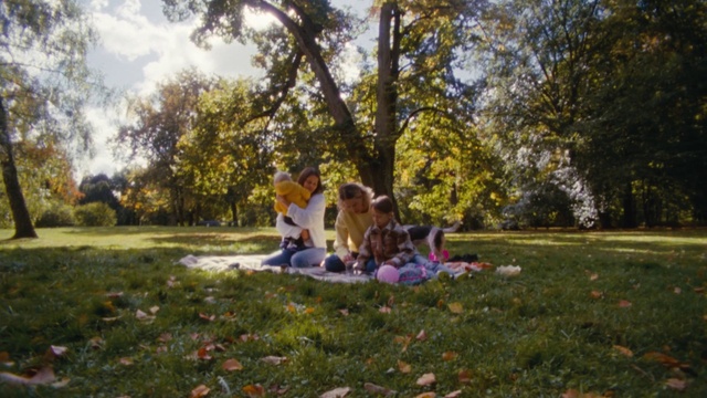 Video Reference: Plant, Sky, People in nature, Tree, Happy, Grass, Leisure, Cloud, Tints and shades, Recreation