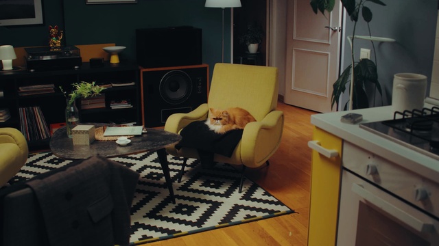 Video Reference: Plant, Property, Furniture, Comfort, Lighting, Cabinetry, Interior design, Floor, Lamp, Wood