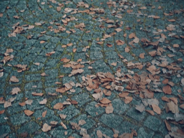 Video Reference: Road surface, Fluid, Groundcover, Asphalt, Tints and shades, Grass, Pattern, Soil, Deciduous, Roof