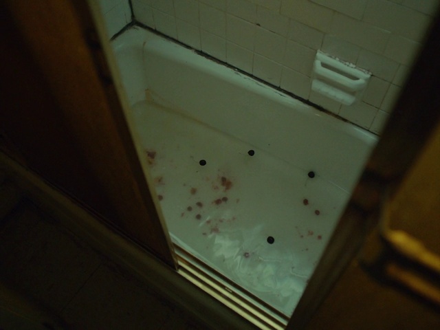 Video Reference: Wood, Tints and shades, Hardwood, Wood stain, Rectangle, Ceiling, Flooring, Plywood, Pattern, Plaster