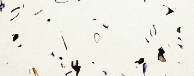 Video Reference: Organism, Font, Slope, Art, Circle, Stain, Science, Carmine, Monochrome, Rectangle