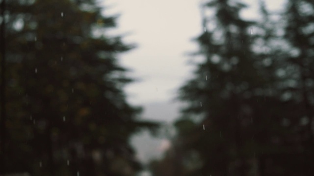 Video Reference: Sky, Cloud, Water, Larch, Evergreen, Natural landscape, Wood, Tints and shades, Freezing, Tree