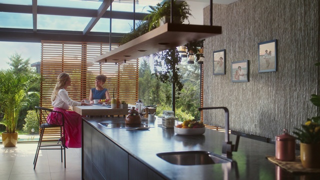 Video Reference: Table, Plant, Furniture, Property, Countertop, Cabinetry, Building, Kitchen sink, Window, Wood