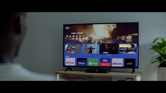 Video Reference: Personal computer, Computer, Output device, Television set, Television, Computer monitor accessory, Houseplant, Home appliance, Flat panel display, Desktop computer