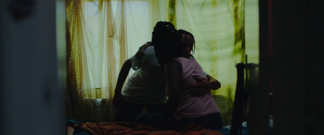 Video Reference: Vertebrate, Mammal, Comfort, Sunlight, Curtain, Tints and shades, Wood, Fun, T-shirt, Room