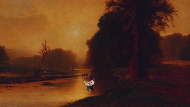 Video Reference: Water, Boat, Sky, Natural landscape, Tree, Wood, Watercraft, Cloud, Dusk, Sunset