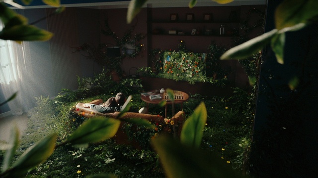 Video Reference: Plant, Terrestrial plant, Organism, Grass, Aquatic plant, Landscape, Jungle, Pc game, Forest, Video game software