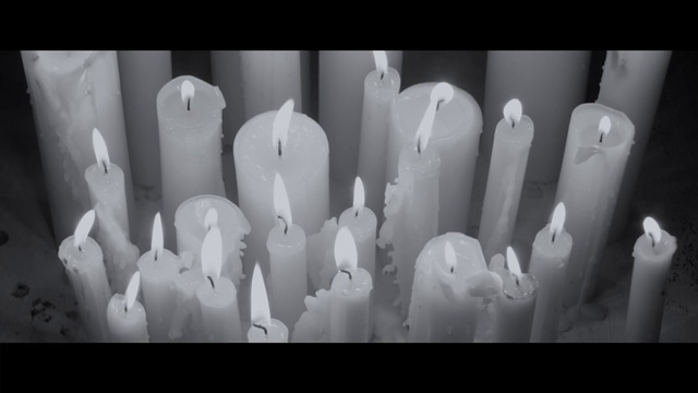 Video Reference: Hand, Plant, Petal, Human body, Flash photography, Organism, Gesture, Flower, Style, Black-and-white
