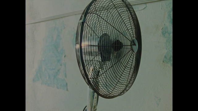Video Reference: Electric fan, Home appliance, Mechanical fan, Mesh, Fixture, Circle, Art, Glass, Transparent material, Rim