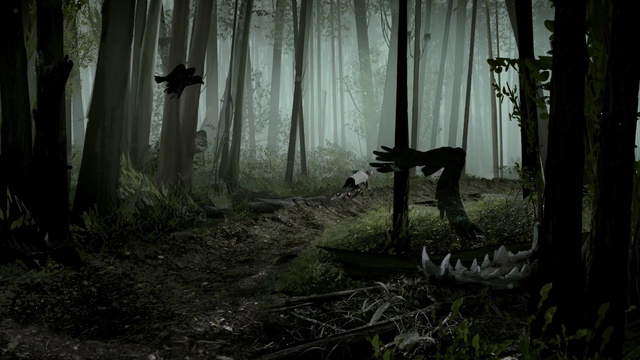 Video Reference: Plant, Atmosphere, Ecoregion, Vertebrate, Natural landscape, Wood, Branch, Trunk, Sunlight, Grass