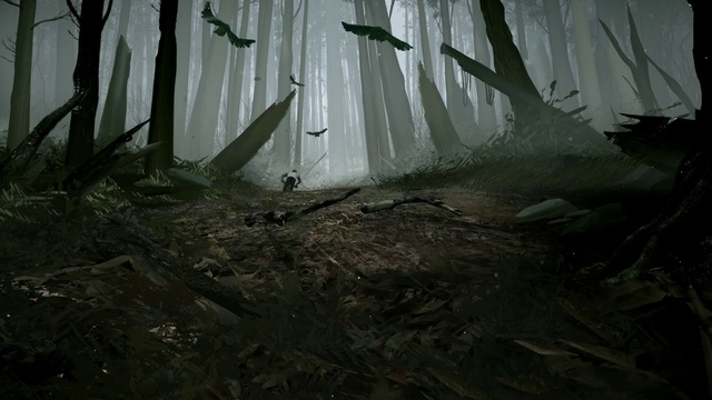 Video Reference: Wood, Trunk, Tree, Tints and shades, Twig, Forest, Grass, Natural landscape, Landscape, Darkness