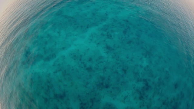 Video Reference: Water, Liquid, Fluid, Swimming pool, Underwater, Circle, Electric blue, Reef, Fashion accessory, Island