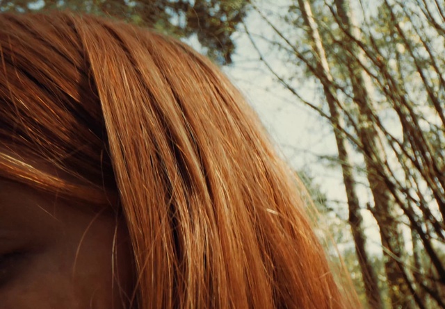 Video Reference: Eyelash, Wood, Liver, Fawn, Grass, Step cutting, Long hair, Layered hair, Bangs, Trunk