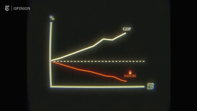 Video Reference: Font, Automotive lighting, Gas, Rectangle, Electronic signage, Visual effect lighting, Parallel, Neon, Darkness, Electric blue