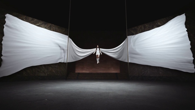 Video Reference: Shade, Flash photography, Flooring, Tints and shades, Wood, Plant, Event, Symmetry, Entertainment, Darkness