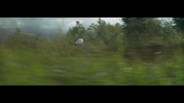 Video Reference: Atmosphere, Sky, Branch, Natural landscape, Cloud, Tree, Plant, Wood, Window, Landscape