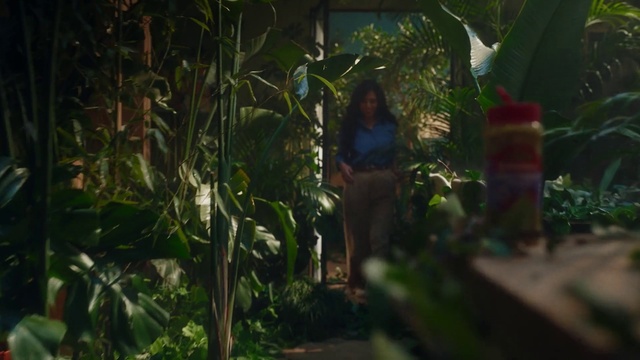 Video Reference: Plant, Terrestrial plant, Grass, Hat, Forest, Wood, Leisure, People in nature, Jungle, Landscape