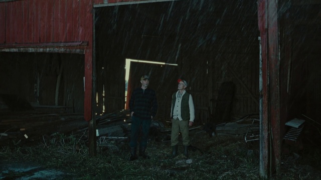 Video Reference: Plant, Wood, Flash photography, Grass, Tints and shades, Forest, Darkness, Landscape, Midnight, Woodland