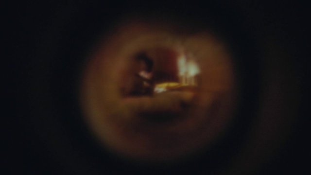 Video Reference: Plant, Gas, Eyelash, Heat, Circle, Astronomical object, Art, Macro photography, Event, Darkness