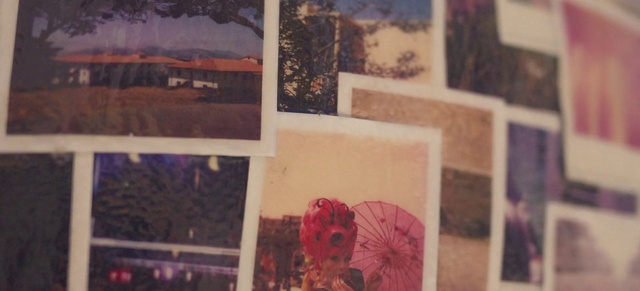 Video Reference: Leaf, Black, Plant, Textile, Rectangle, Purple, Petal, Creative arts, Wall, Art