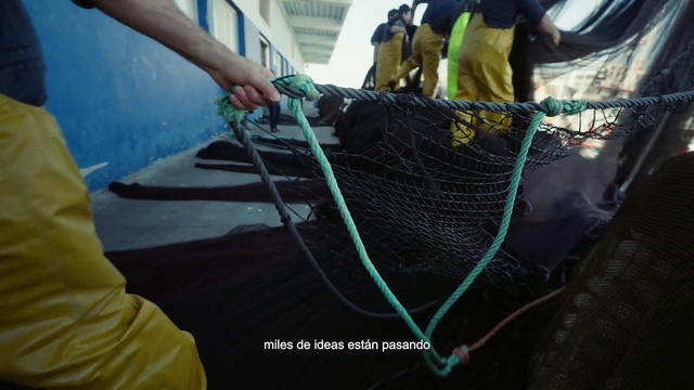 Video Reference: Fishing net, Rope, Net, Personal protective equipment, Fishing, Wire, Event, Grass, Recreation, Rope (rhythmic gymnastics)