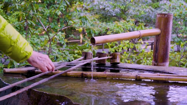 Video Reference: Water, Wood, Watercourse, Leisure, Rural area, Grass, Engineering, Soil, Plant, Automotive wheel system