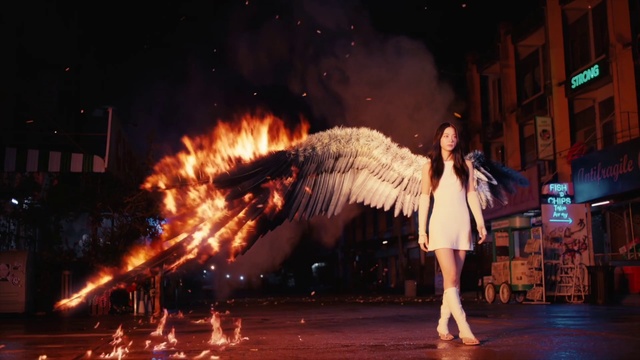 Video Reference: Fire, Flame, Entertainment, Tree, Heat, Performing arts, Event, Fashion design, Fun, Performance art