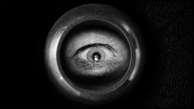 Video Reference: Eye, Eyelash, Flash photography, Human body, Wood, Iris, Grey, Font, Circle, Monochrome photography