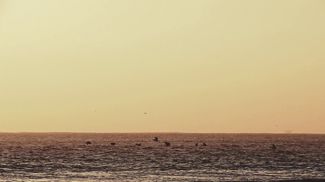 Video Reference: Water, Sky, Water resources, Cloud, Fluid, Liquid, Coastal and oceanic landforms, Sunset, Dusk, Waterway