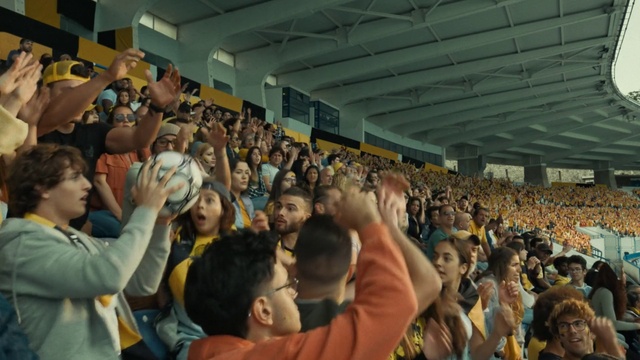 Video Reference: World, Fan, Leisure, Crowd, Fun, Hat, Event, Competition event, Stadium, Audience