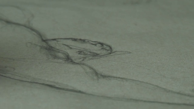 Video Reference: Art, Gesture, Grey, Wood, Twig, Beak, Painting, Child art, Drawing, T-shirt