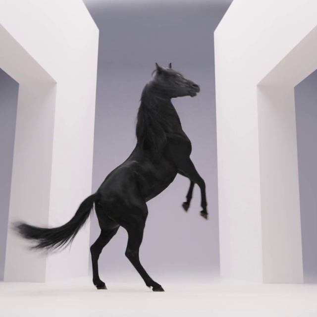Video Reference: Toy, Horse, Creative arts, Sculpture, Art, Terrestrial animal, Tail, Animal figure, Working animal, Statue
