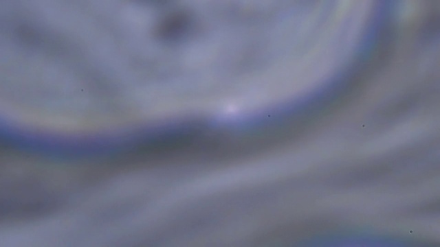 Video Reference: Cloud, Water, Blue, Sky, Cumulus, Electric blue, Gas, Pattern, Meteorological phenomenon, Astronomical object