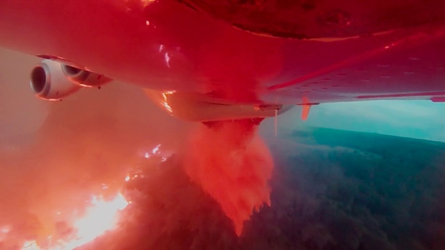 Video Reference: Pink, Automotive lighting, Gas, Magenta, Petal, Peach, Event, Carmine, Electric blue, Liquid