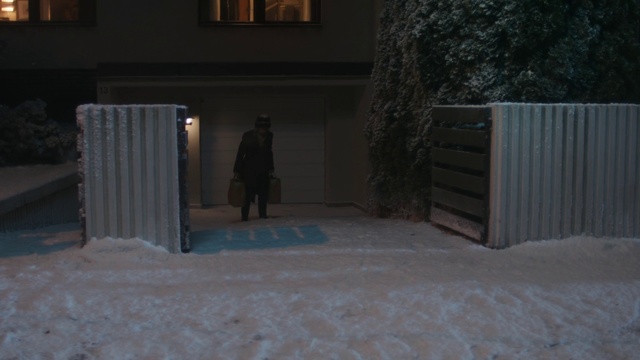 Video Reference: Snow, Freezing, Midnight, Wood, Event, Winter, Darkness, Precipitation, Tree, Room