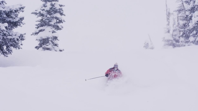 Video Reference: Sports equipment, Snow, Ski Equipment, Slope, Tree, Winter sport, Ski, Freezing, Ice cap, Terrain