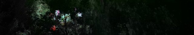 Video Reference: abstract, dark, foliage, silhouette, trees, night, nature, colorful, light, shadow, dense, background