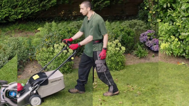 Video Reference: Wheel, Plant, Tire, Walk-behind mower, Lawn mower, Flower, Mower, Grass, Groundcover, Outdoor power equipment