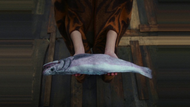 Video Reference: Fin, Seafood, Fish, Tail, Marine biology, Fish products, Ray-finned fish, Wood, Salmon-like fish, Flesh