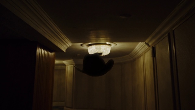 Video Reference: Brown, Wood, Material property, Tints and shades, Hardwood, Ceiling, Symmetry, Facial hair, Electricity, Ceiling fixture