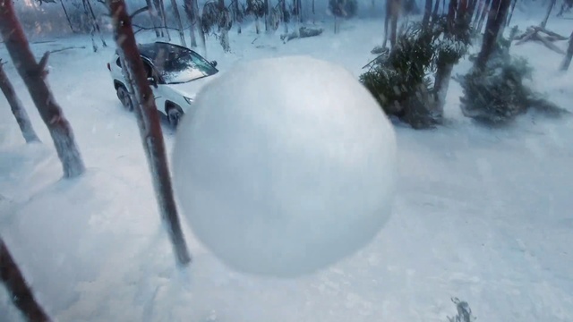 Video Reference: Snow, Plant, Freezing, World, Car, Twig, Vehicle, Tree, Wheel, Winter