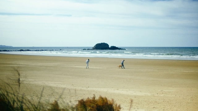 Video Reference: Cloud, Sky, Water, Ecoregion, Natural landscape, Coastal and oceanic landforms, Beach, Plant, Horizon, Wind wave