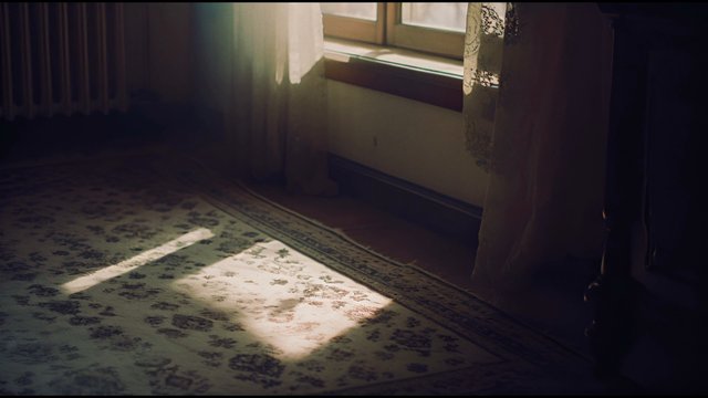 Video Reference: interior, room, window, sunlight, curtains, rug, patterned carpet, shadows, dim light, home, floor, wall, baseboard heating, quiet, morning light