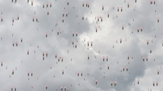 Video Reference: Cloud, Sky, Cumulus, Animal migration, Font, Meteorological phenomenon, Bird migration, Tree, Plant, Flock