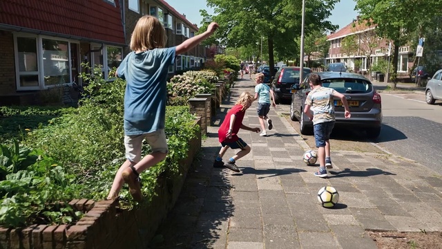 Video Reference: Shorts, Plant, Car, Window, Leg, Tire, Vehicle, Tree, Sky, Asphalt