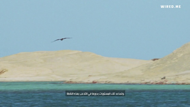 Video Reference: Water, Sky, Bird, Ecoregion, Lake, Horizon, Landscape, Wing, Calm, Seabird