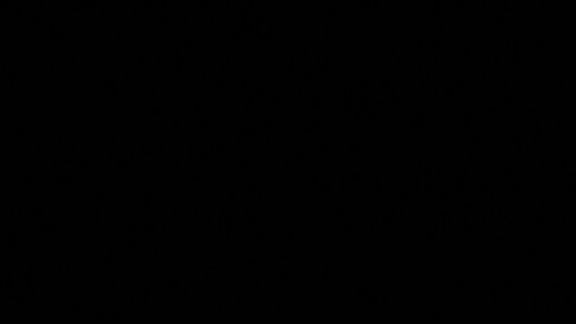 Video Reference: black screen, dark, empty frame, no visible subject, blank