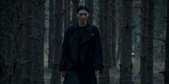 Video Reference: Sunglasses, Flash photography, Sleeve, Plant, Grey, Wood, Trunk, Tree, Blazer, Grass