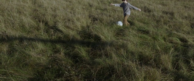 Video Reference: Sports equipment, People in nature, Plant, Shorts, Ball, Happy, Soccer, Grass, Grassland, Grass family