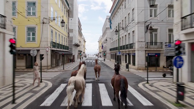 Video Reference: Building, Window, Sky, Cloud, Infrastructure, Road surface, Working animal, Thoroughfare, Urban design, Sidewalk